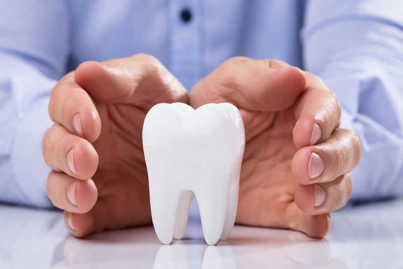 Dummy Tooth Covered By Hands